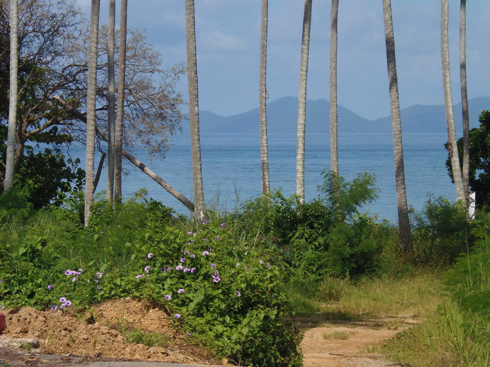 Elephants End Guesthouse Krabi Ao Nang Экстерьер фото